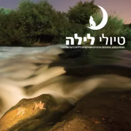 טיולי לילה - יד שניה דני ספרים