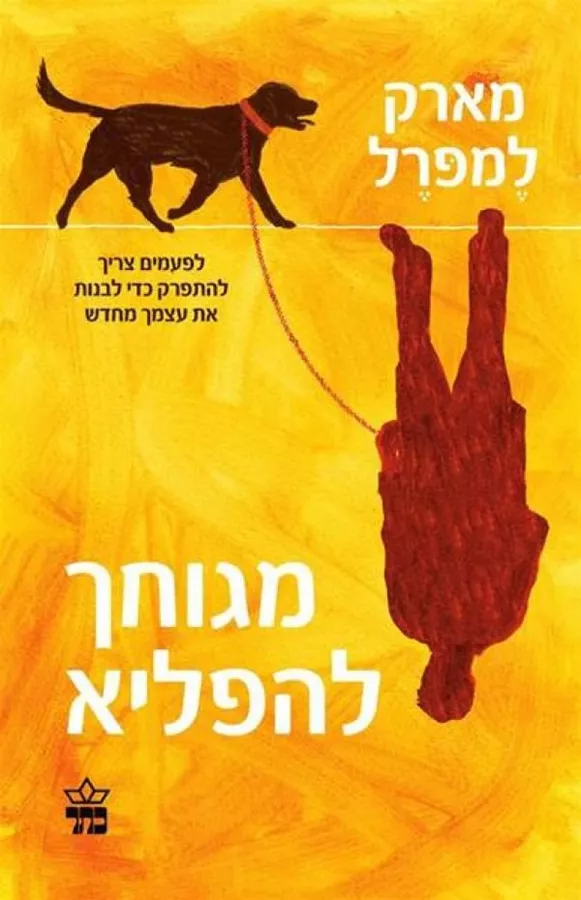 מגוחך להפליא - יד שניה