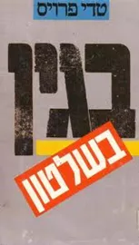 בגין בשלטון - יד שניה דני ספרים