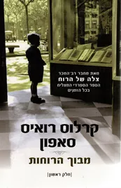 מבוך הרוחות - יד שניה (כרך א') דני ספרים