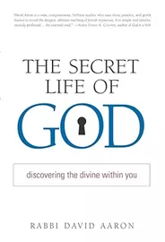 The secret life of god - second hand דני ספרים