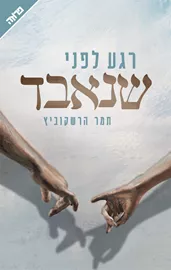 רגע לפני שנאבד - יד שניה דני ספרים