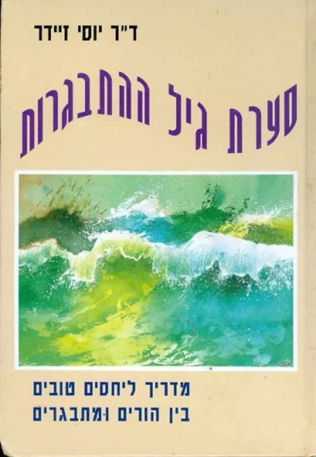 סערת גיל ההתבגרות - יד שניה