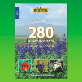 280 מסלולי פריחה צבעוניים - צפון - יד שניה דני ספרים