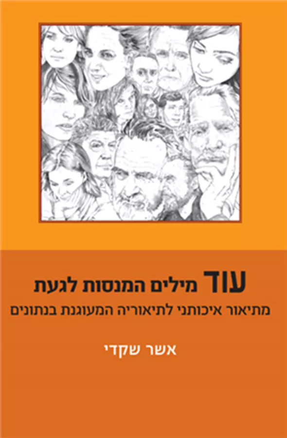 עוד מילים המנסות לגעת מתיאור איכותני לתיאוריה המעוגנת בנתונים - אשר שקדי