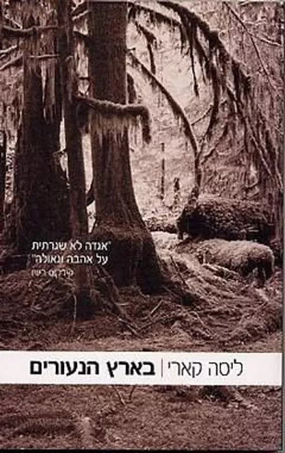 בארץ הנעורים - יד שניה