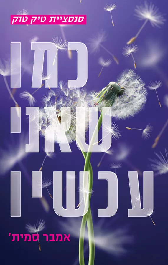כמו שהייתי פעם 2 - כמו שאני עכשיו