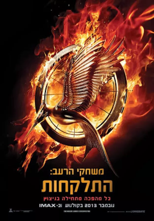 התלקחות - משחקי הרעב 2 - יד שניה (עטיפת הסרט)