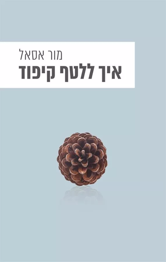 איך ללטף קיפוד - יד שניה