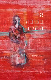 אי בגובה המים - תמר עילם דני ספרים
