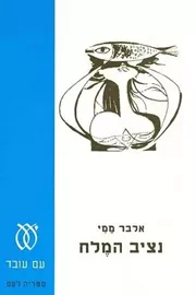 נציב המלח - יד שניה (כחול) דני ספרים