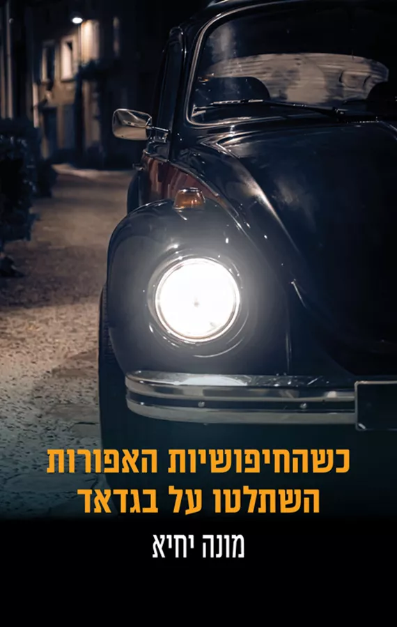 כשהחיפושיות האפורות השתלטו על בגדאד - מונא יחיא