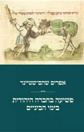 פשיעה בחברה היהודית בימי הביניים - אפרים שהם-שטיינר דני ספרים