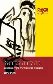 מה קורה לקורא דני ספרים
