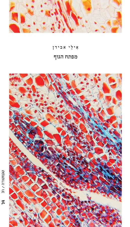 מפתח הגוף - אילי אבידן