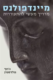 מיינדפולנס - יד שניה דני ספרים