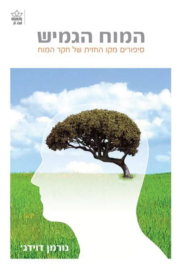 המוח הגמיש - יד שניה