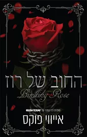 החוב של רוז - אייווי פוקס דני ספרים