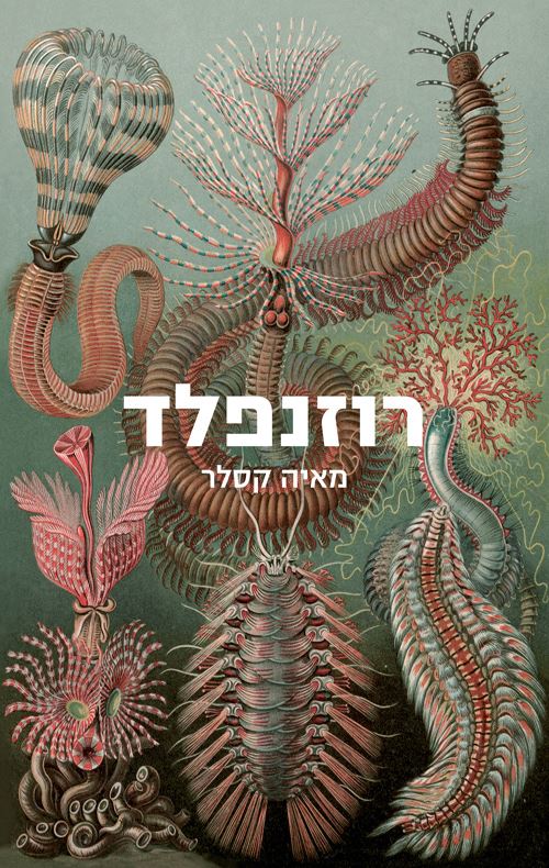 רוזנפלד - יד שניה