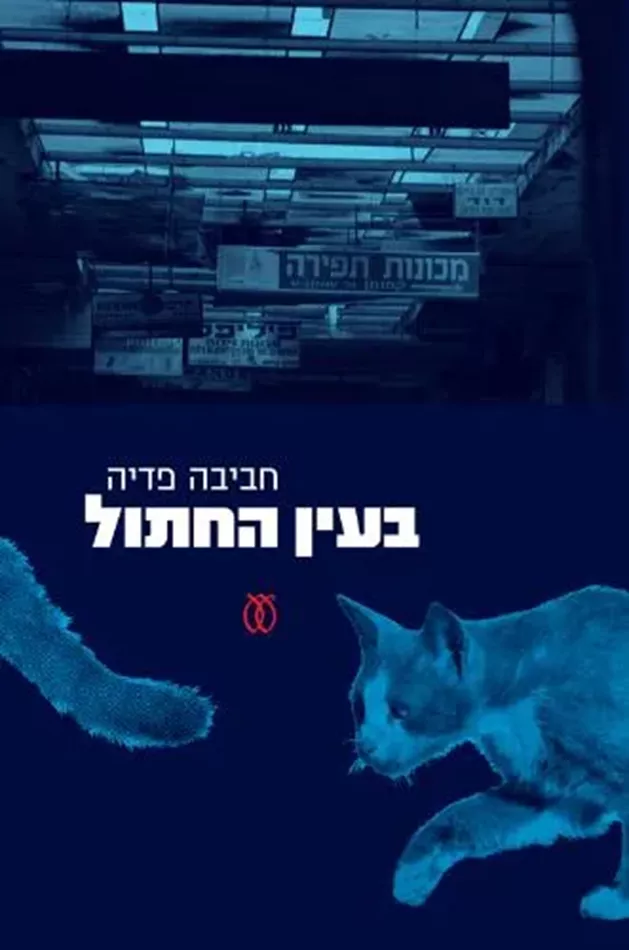 בעין החתול
