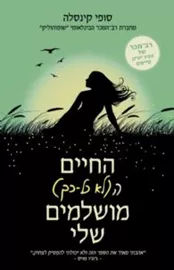 החיים הלא כל כך מושלמים שלי - יד שניה דני ספרים