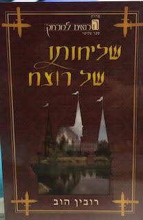 שליחותו של רוצח - הרואים למרחק 3 - רובין הוב