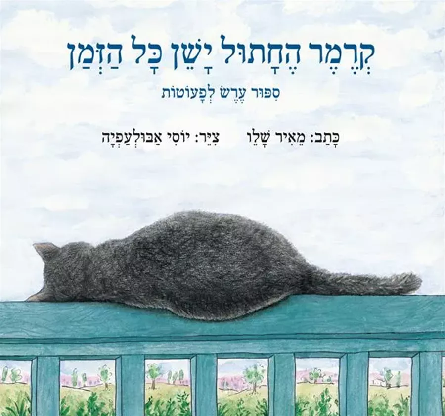 קרמר החתול ישן כל הזמן