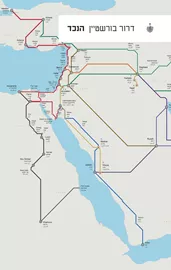 הנכד - דרור בורשטיין דני ספרים