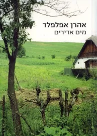 מים אדירים - יד שניה דני ספרים