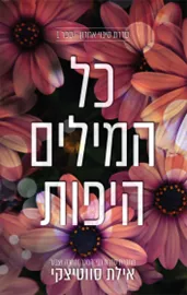 סיכוי אחרון 1 - כל המילים היפות - אילת סווטיצקי דני ספרים