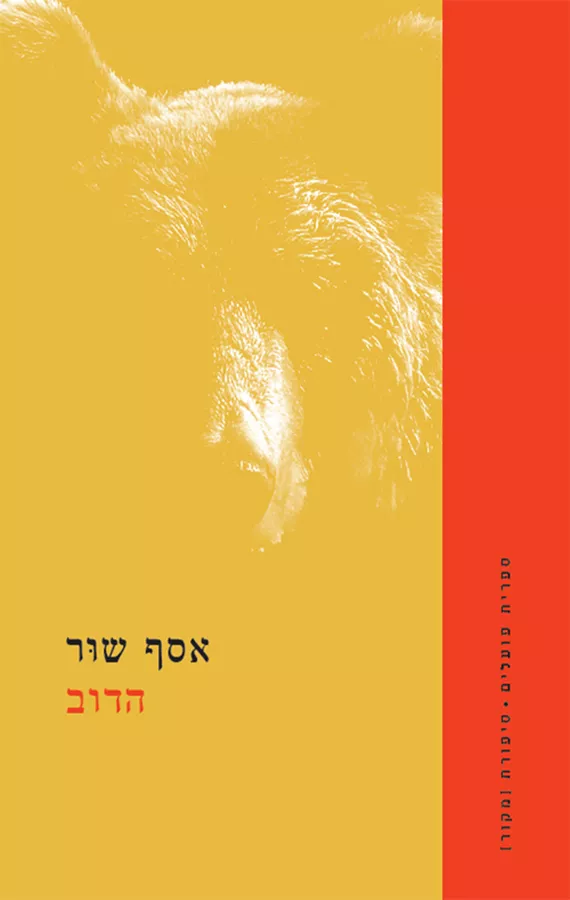 הדוב