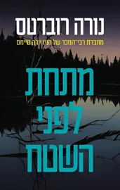 מתחת לפני השטח - יד שניה דני ספרים