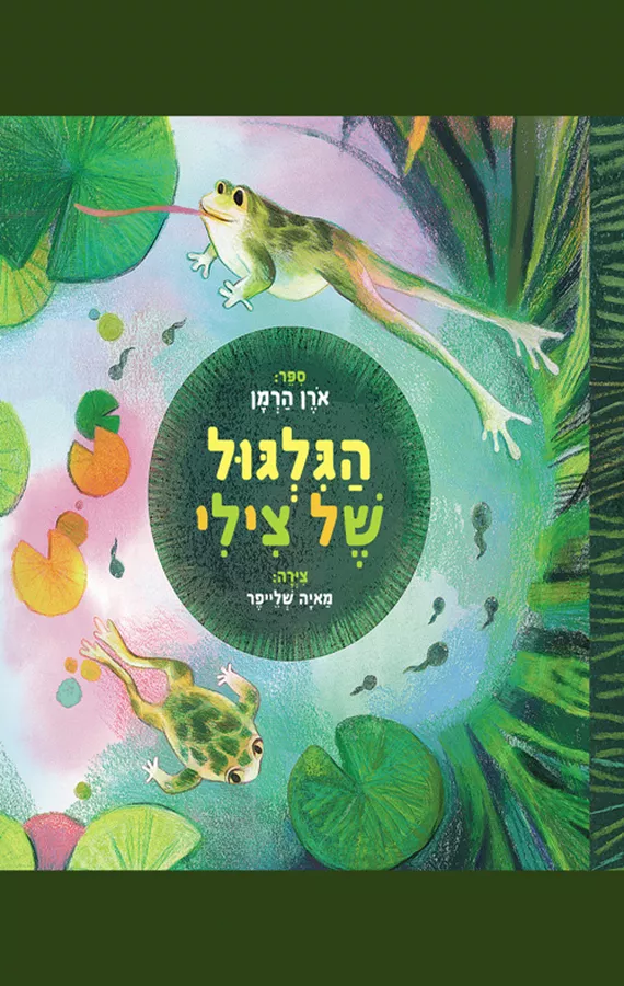 הגלגול של צילי
