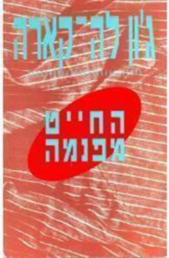 החייט מפנמה - יד שניה