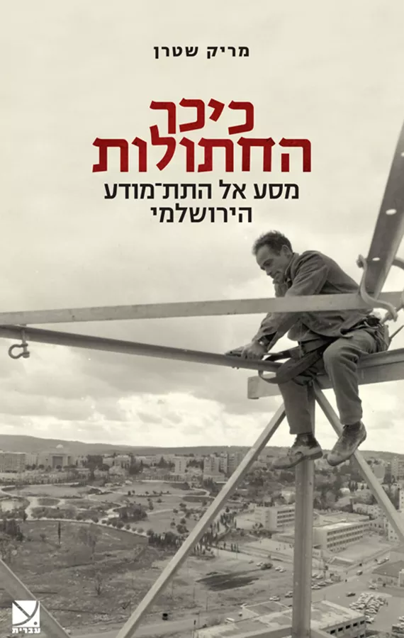 כיכר החתולות - מריק שטרן