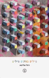 מילים במקום מילים - רחל שליטא דני ספרים