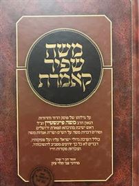 משה שפיר קאמרת danibooks