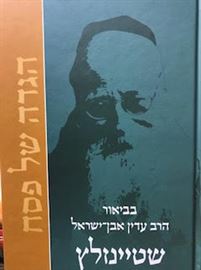 הגדה של פסח - שטיינזלץ danibooks
