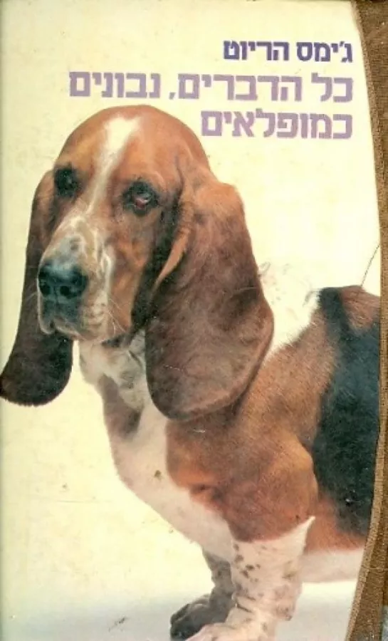 כל הדברים נבונים כמופלאים - יד שניה