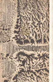 ספר גזירות אשכנז וצרפת - יד שניה דני ספרים