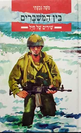 בין המשברים - יד שניה דני ספרים