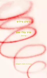 עיר בלי שם דני ספרים