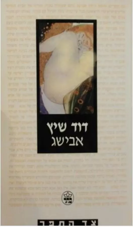 אבישג - יד שניה